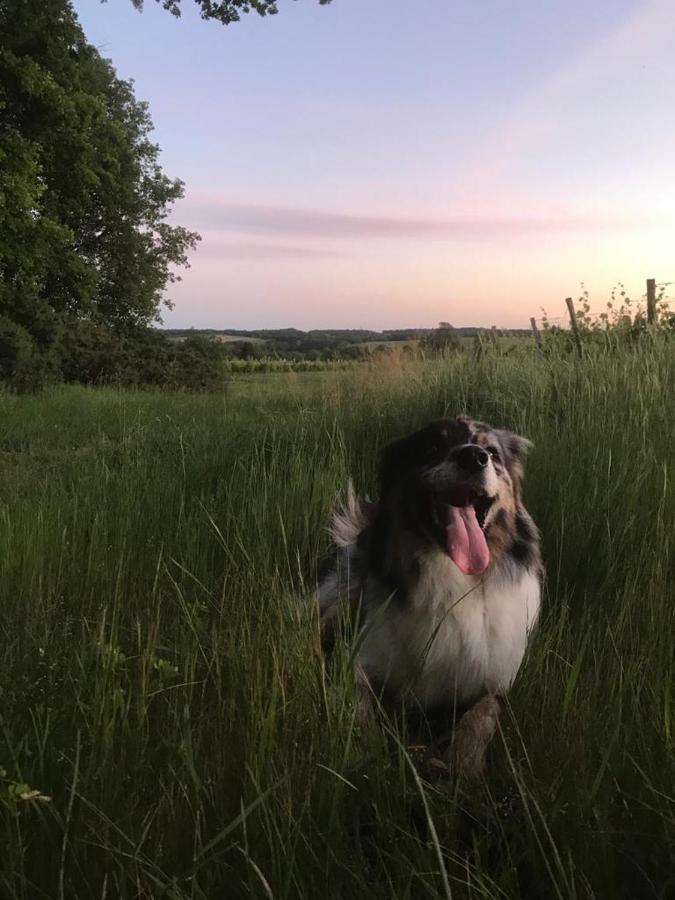 Willa Les Granges Les Lèves-et-Thoumeyragues Zewnętrze zdjęcie